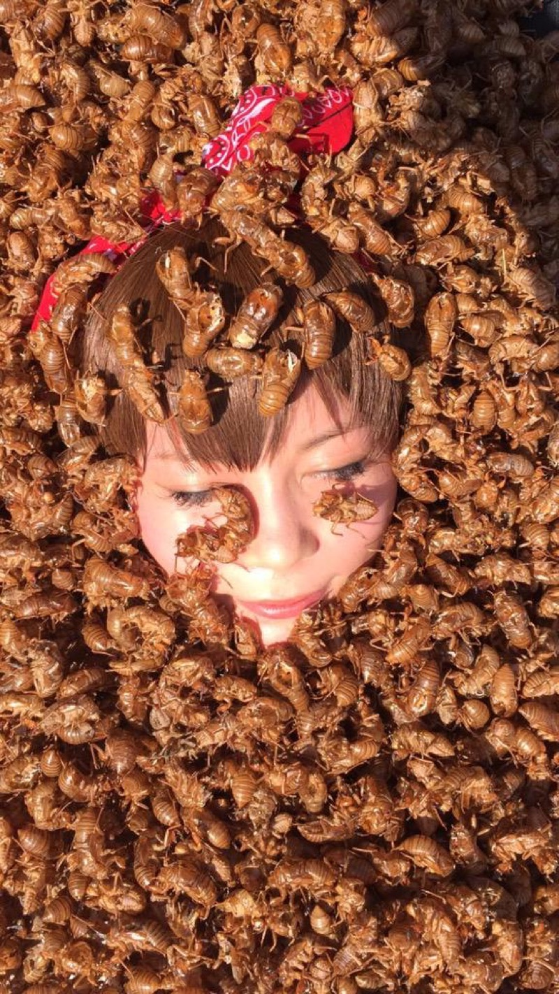 Illustration for article titled One Japanese Celebrity's Disgusting Twitter Tradition